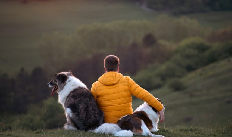 Happy dog and man playing outdoor