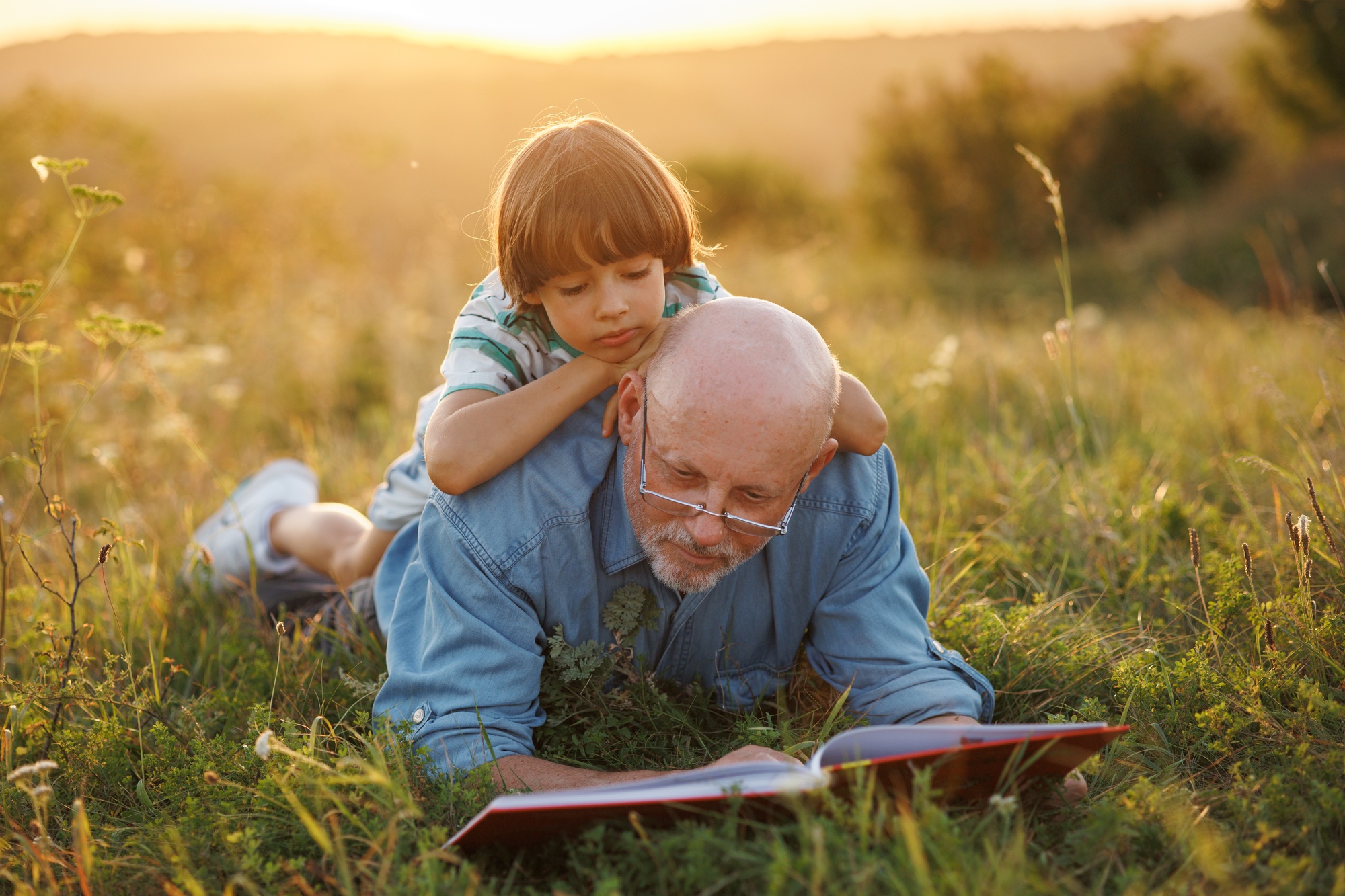 Little boy with his grandfather reading a book in a field at summer